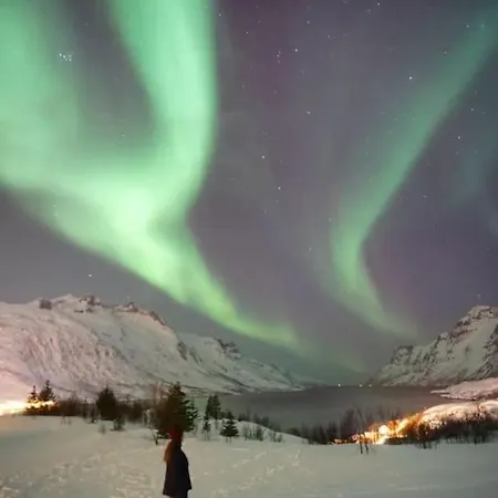Main Floor In The Lyngen Alps, Whole House Rentable Apartment