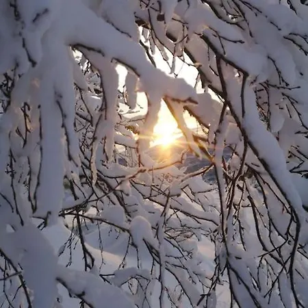 Main Floor In The Lyngen Alps, Whole House Rentable Apartment