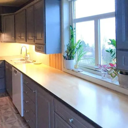 Main Floor In The Lyngen Alps, Whole House Rentable Apartment Lyngseidet