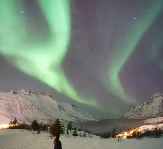 Main Floor In The Lyngen Alps, Whole House Rentable Appartamento