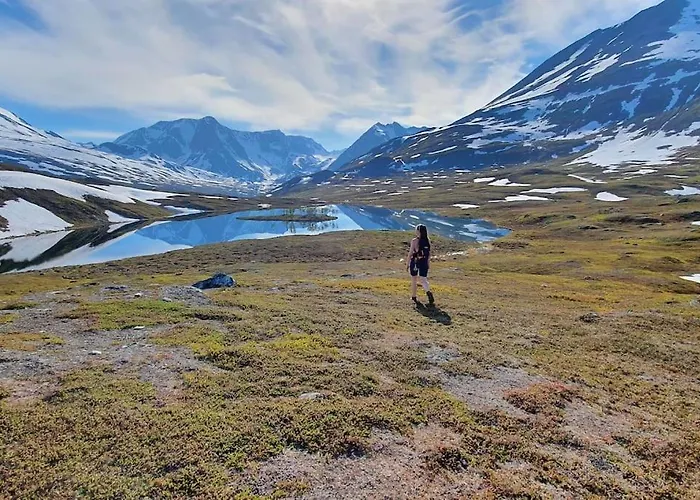Main Floor In The Lyngen Alps, Whole House Rentable Appartamento