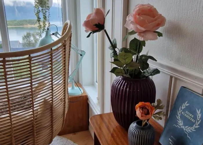 Main Floor In The Lyngen Alps, Whole House Rentable * Lyngseidet